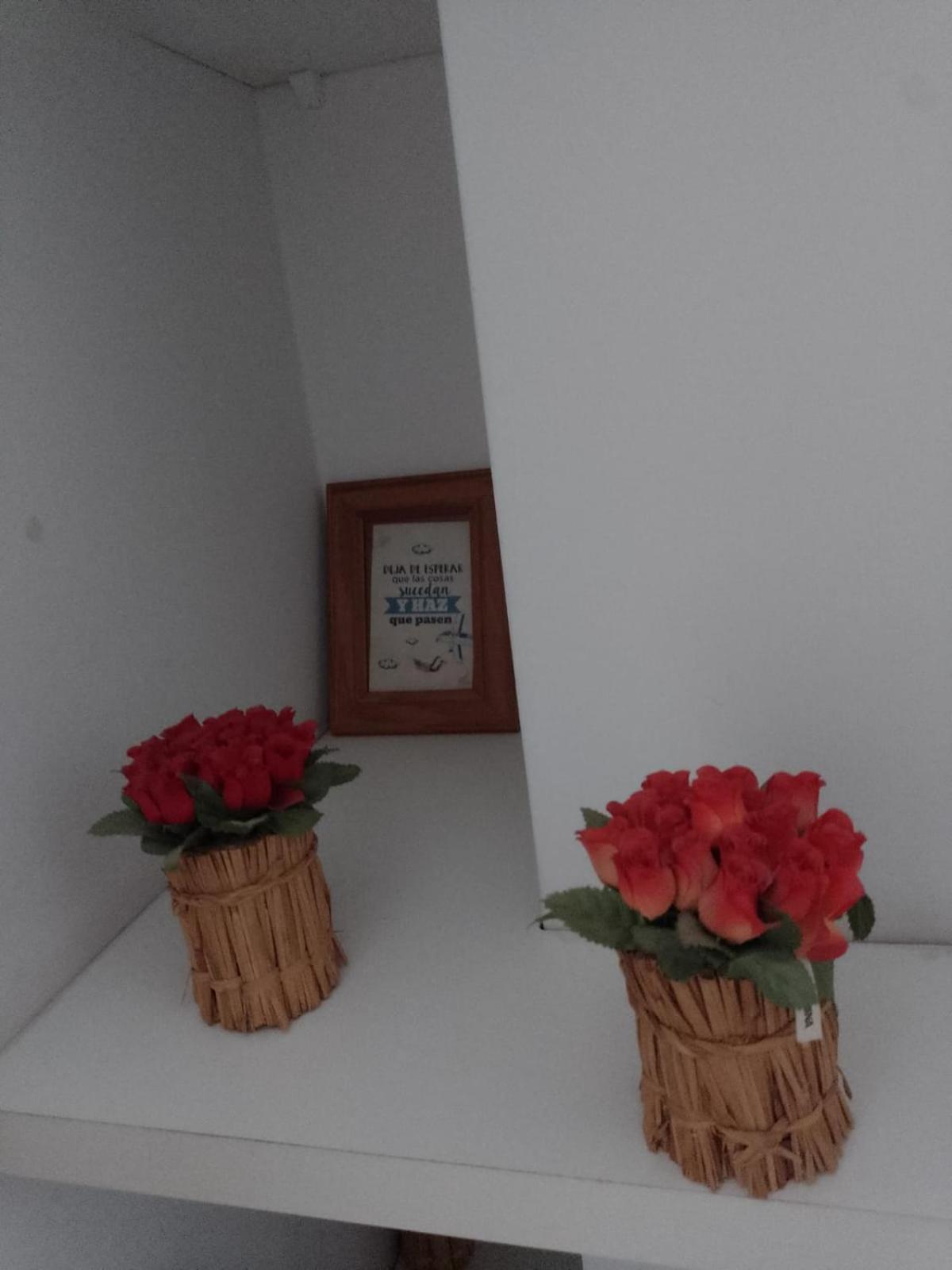 Relax En Palermo Con Gran Balcon Y Wifi 300Mb Buenos Aires Exteriér fotografie